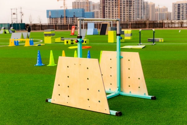 Obstacle Track Set